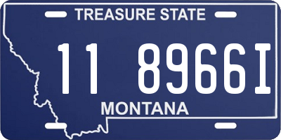 MT license plate 118966I