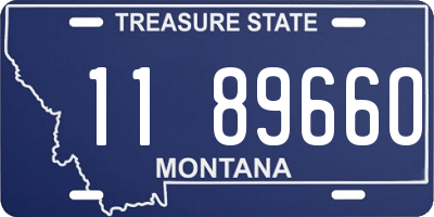 MT license plate 118966O