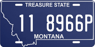 MT license plate 118966P