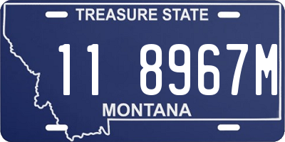 MT license plate 118967M