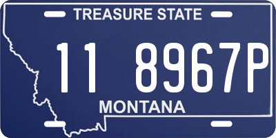 MT license plate 118967P