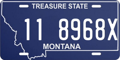 MT license plate 118968X