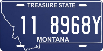MT license plate 118968Y