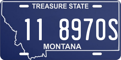 MT license plate 118970S