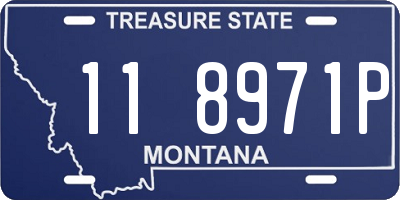 MT license plate 118971P