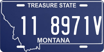 MT license plate 118971V