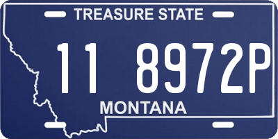 MT license plate 118972P