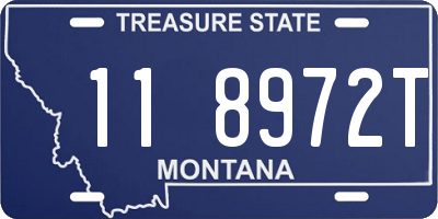 MT license plate 118972T