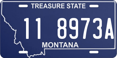 MT license plate 118973A