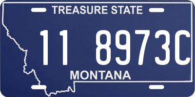 MT license plate 118973C
