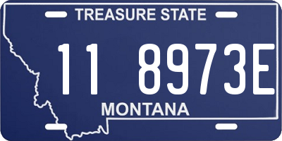 MT license plate 118973E