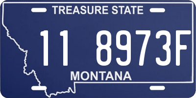 MT license plate 118973F