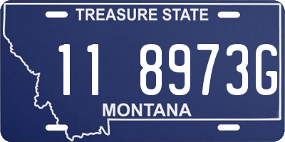 MT license plate 118973G