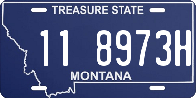 MT license plate 118973H