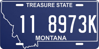 MT license plate 118973K