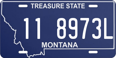 MT license plate 118973L