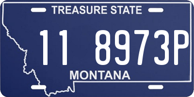 MT license plate 118973P