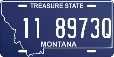 MT license plate 118973Q