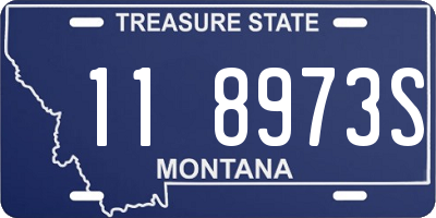 MT license plate 118973S