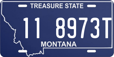 MT license plate 118973T