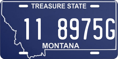 MT license plate 118975G