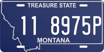 MT license plate 118975P