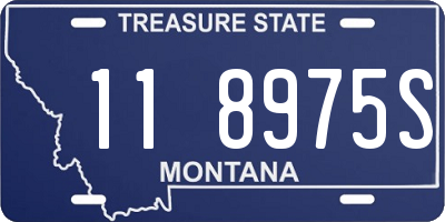 MT license plate 118975S