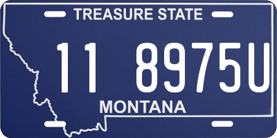 MT license plate 118975U