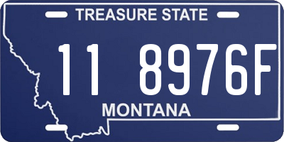 MT license plate 118976F