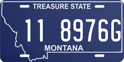 MT license plate 118976G