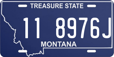 MT license plate 118976J