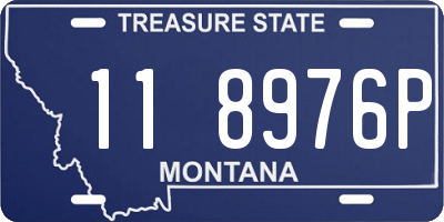 MT license plate 118976P