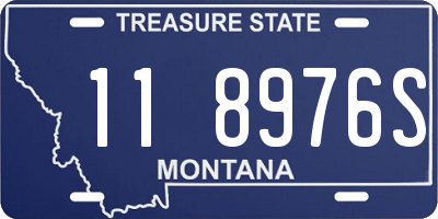 MT license plate 118976S