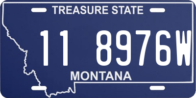 MT license plate 118976W