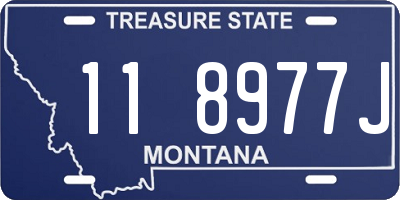 MT license plate 118977J