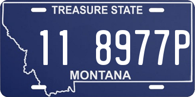 MT license plate 118977P