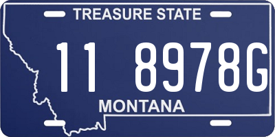 MT license plate 118978G