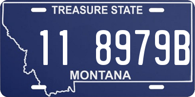 MT license plate 118979B