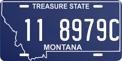 MT license plate 118979C