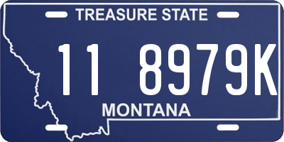 MT license plate 118979K