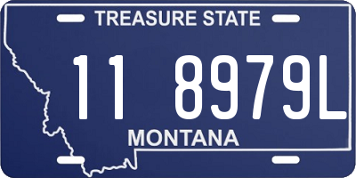 MT license plate 118979L