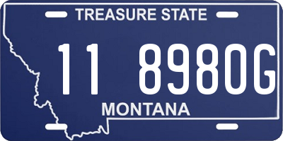 MT license plate 118980G