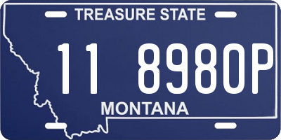 MT license plate 118980P