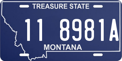 MT license plate 118981A