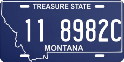 MT license plate 118982C