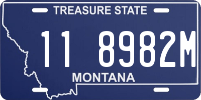 MT license plate 118982M