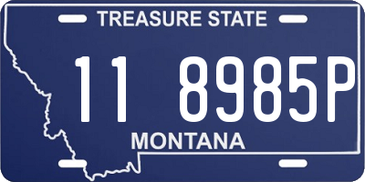 MT license plate 118985P