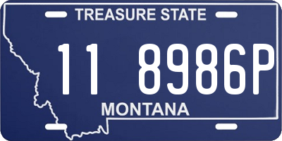 MT license plate 118986P