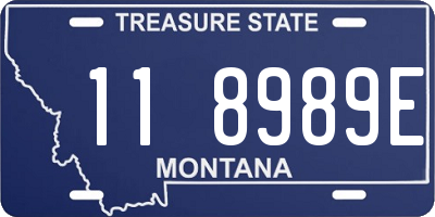 MT license plate 118989E