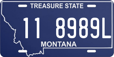 MT license plate 118989L